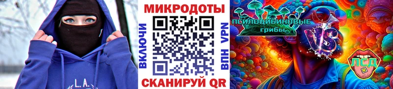 закладки  Гремячинск  Псилоцибиновые грибы GOLDEN TEACHER 